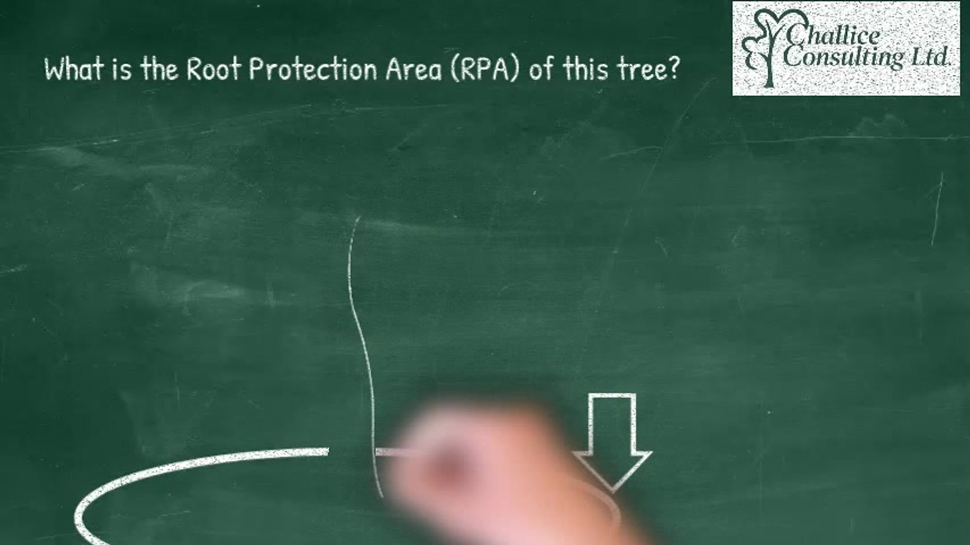 What is the RPA of this tree_